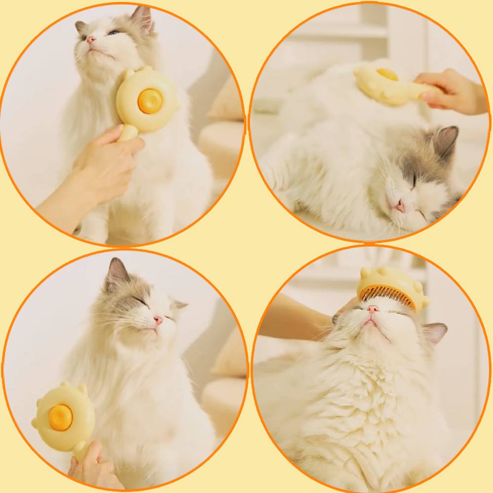 The Pawfect Cat Hair Brush